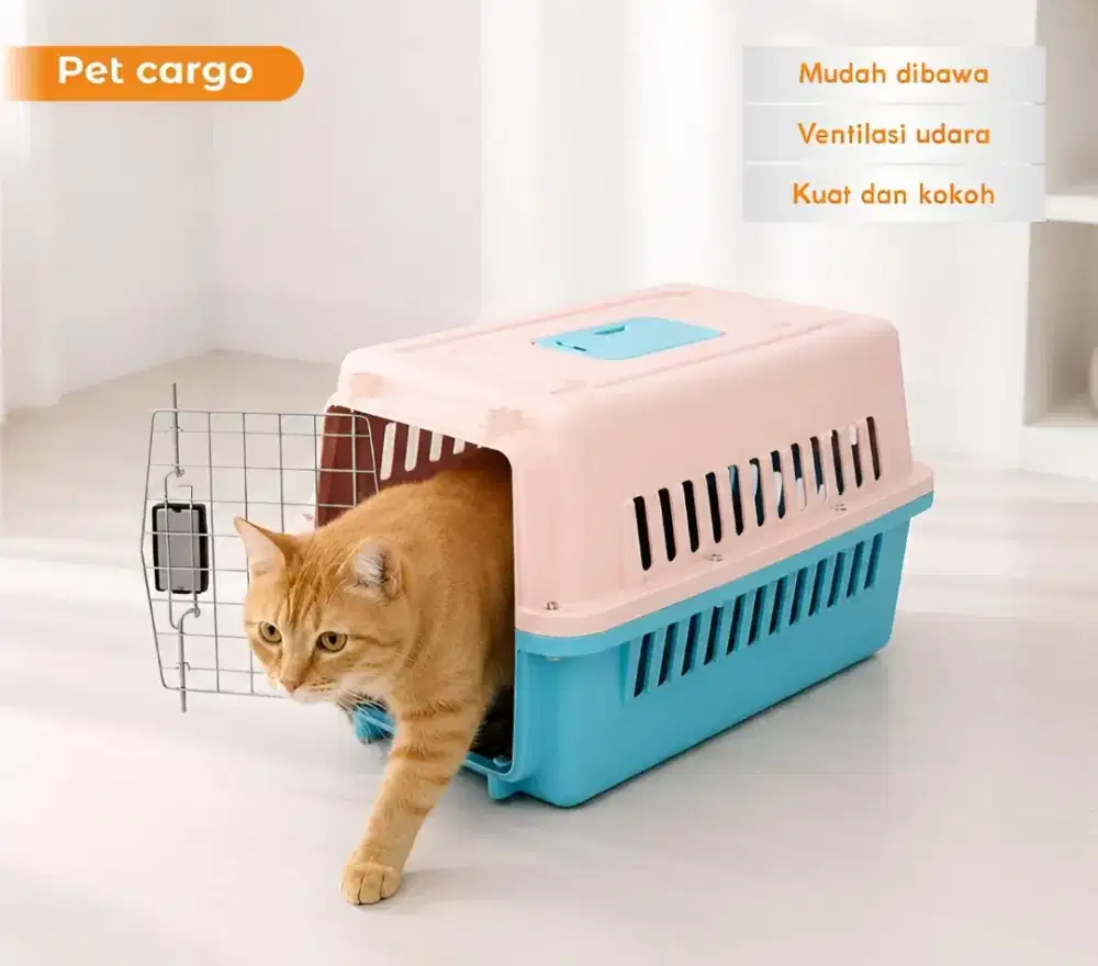 pet cargo sweet