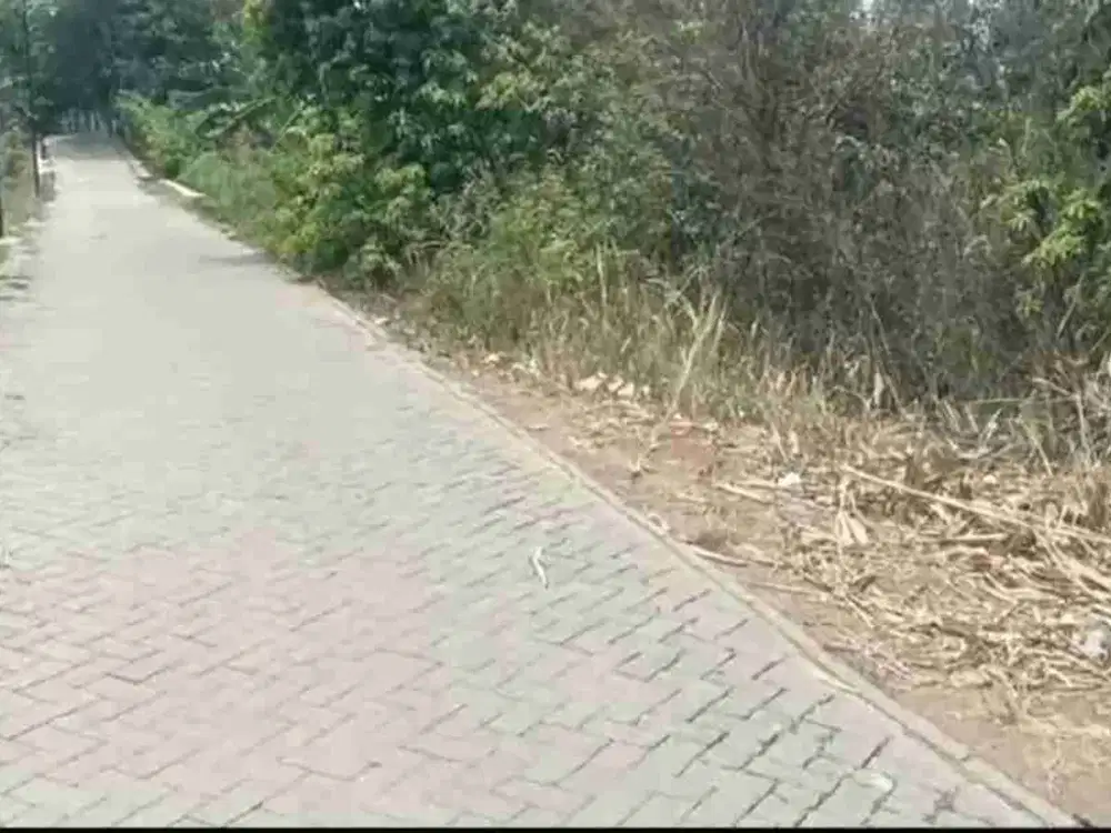 DIJUAL LAHAN PADAT KOTAK DI DAERAH PANONGAN LOKASI 200 M DARI JALAN RAYA PANONGAN