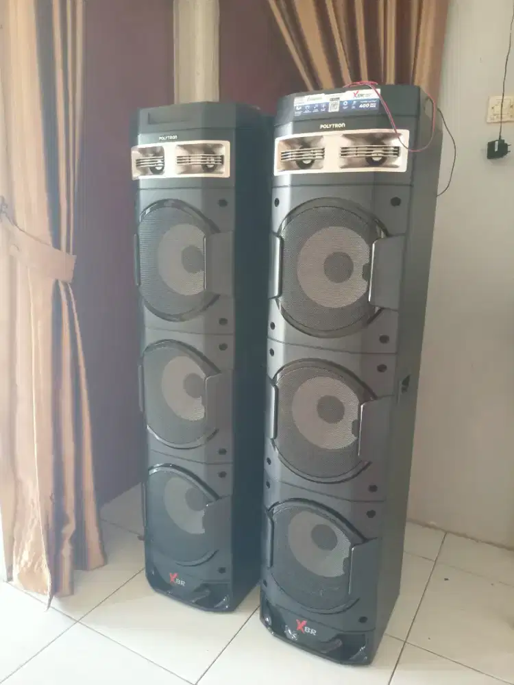 Speaker Polytron Pas 10DF38