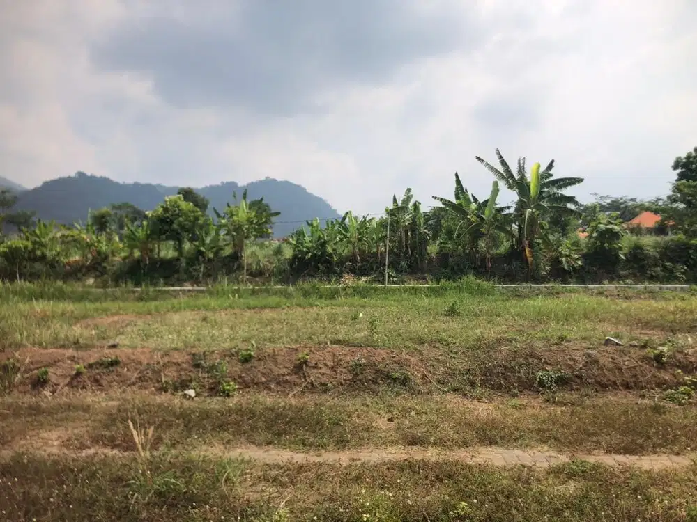 Dijual Tanah Kavling di Seloliman (under value)