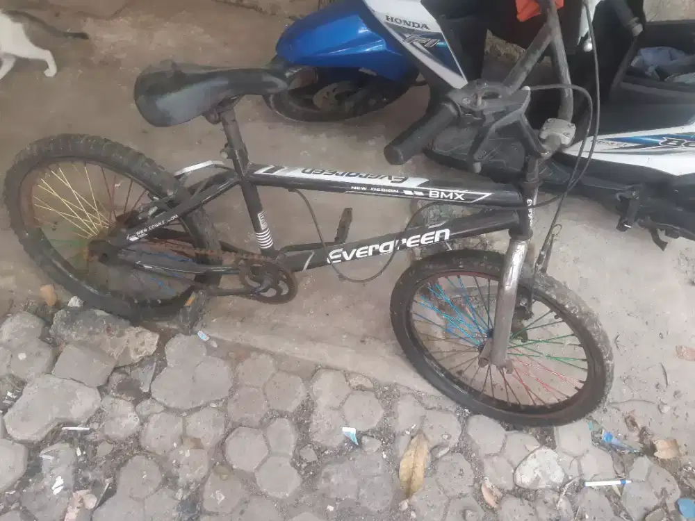 Sepeda bmx evergreen minus