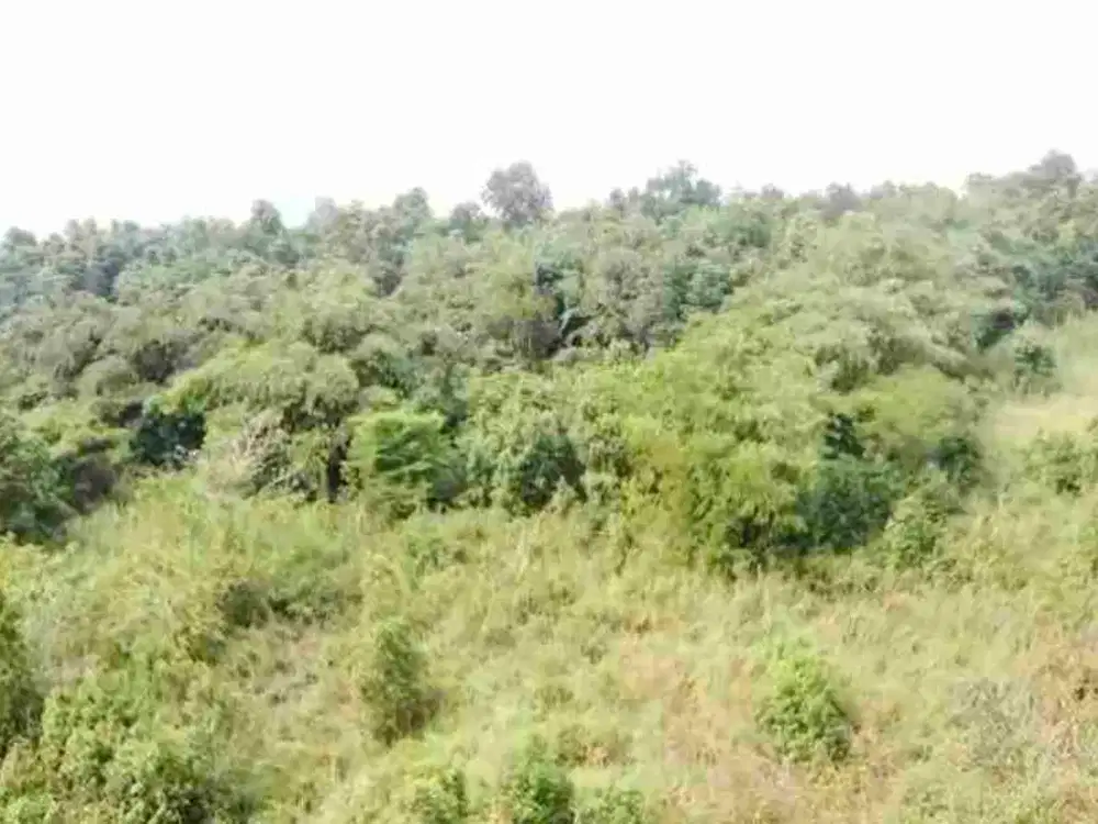 di jual tanah darat cocok untuk investasi di jonggol botim