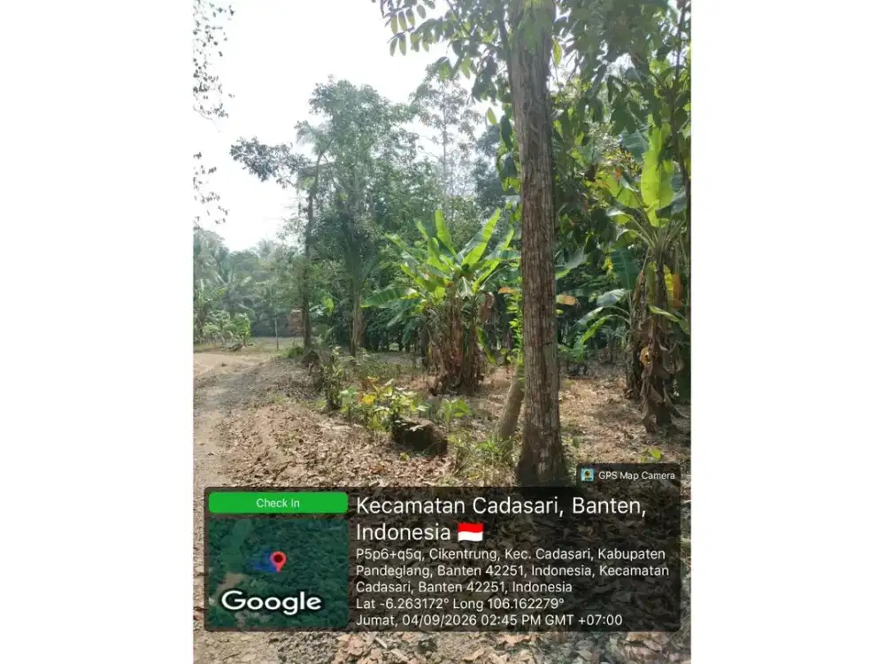 Jual Tanah SHM 1000m2 Cadasari Akses Mobil Muka 40m Cuma 80Jt-an