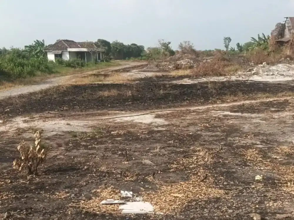 Tanah Dijual Di Raya Pantura Lamongan Jawa Timur