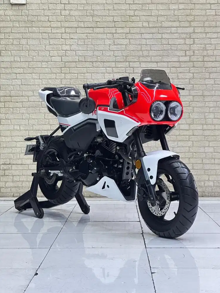 Cf moto papio X-01 2024