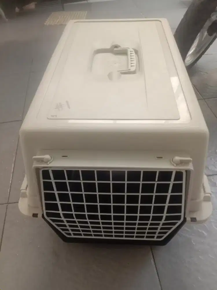Petcargo ukuran XXL besar jumbo .