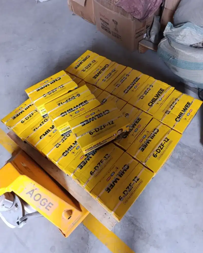 Aki Sepeda Listrik Chilwee 48/12 Original