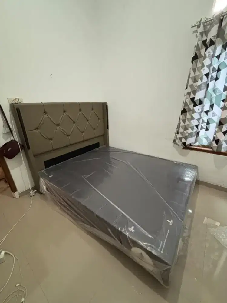 Dipan box olympic dan sandaran (Queen Bed)