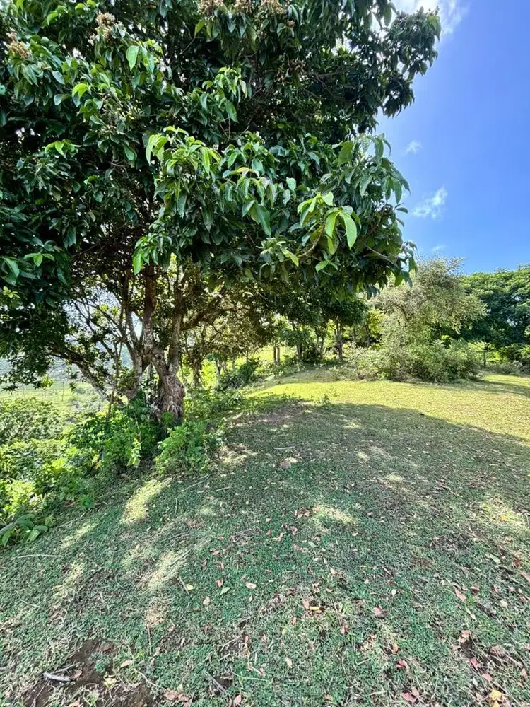 Dijual tanah 123 are view laut bukit tampah praya lombok