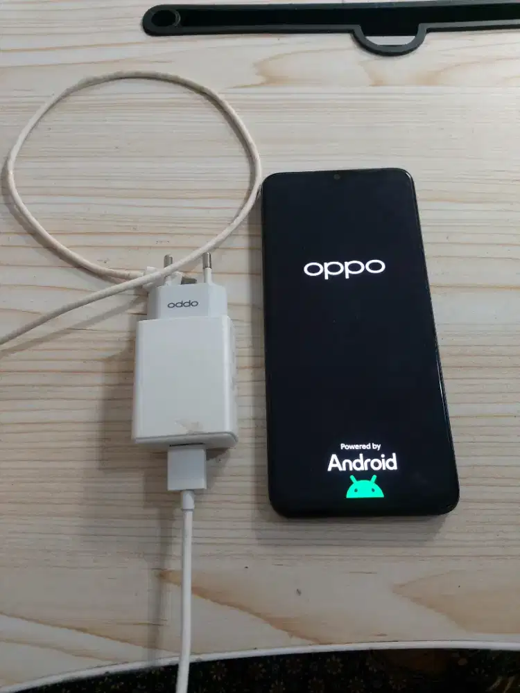 Oppo A18 mulus hp cas