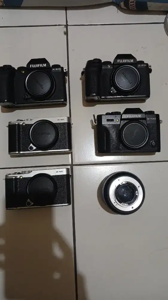 Borongan Fujifilm