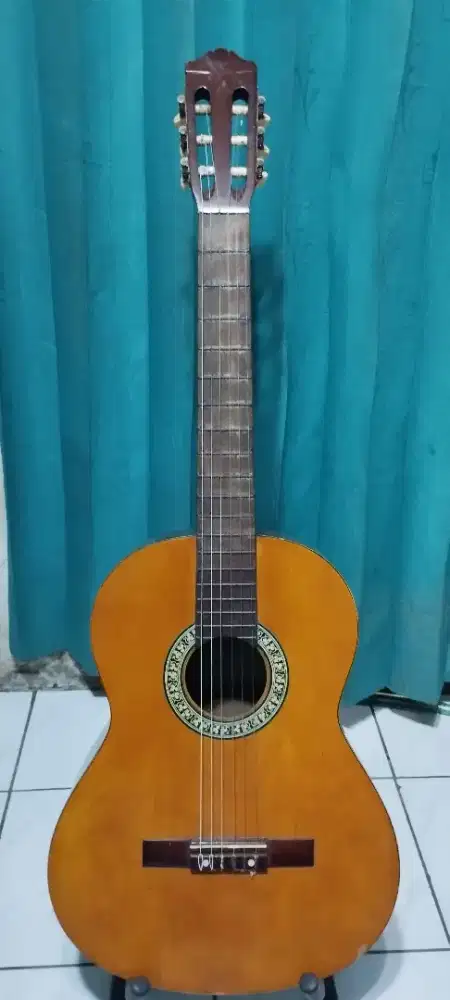 Gitar Yamaha C 310