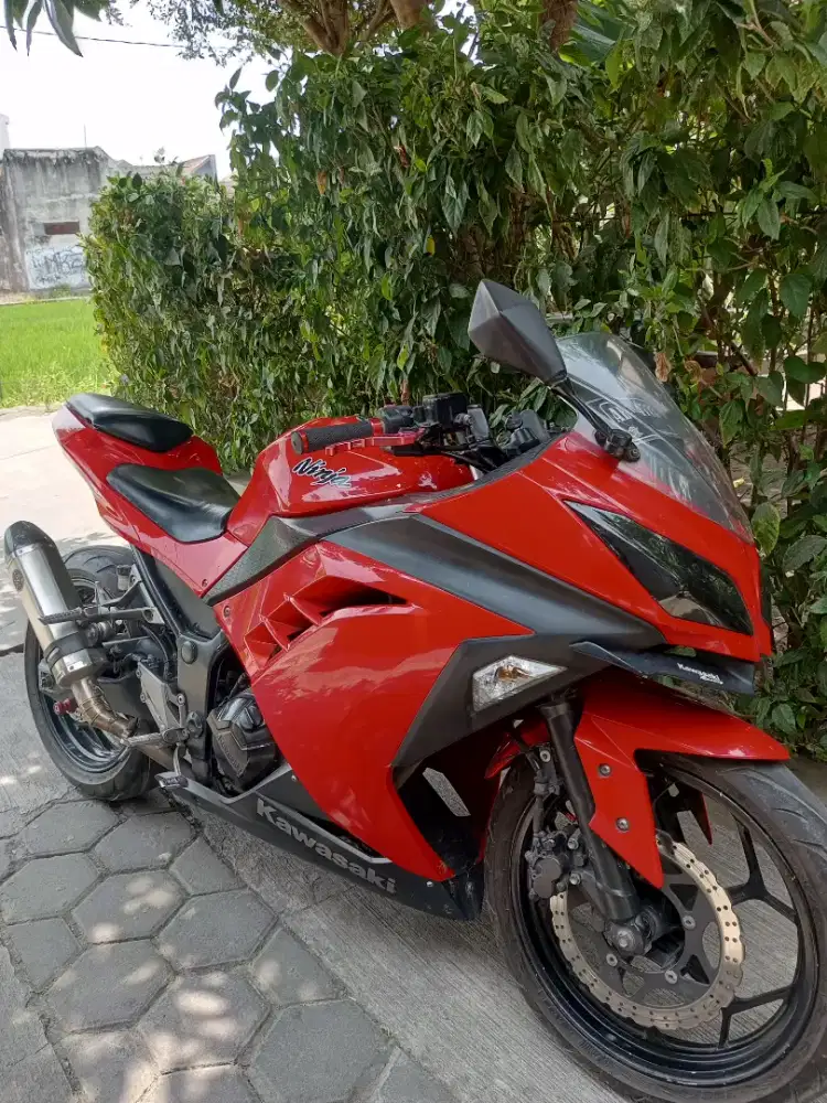 Ninja 250fi isimewa BU