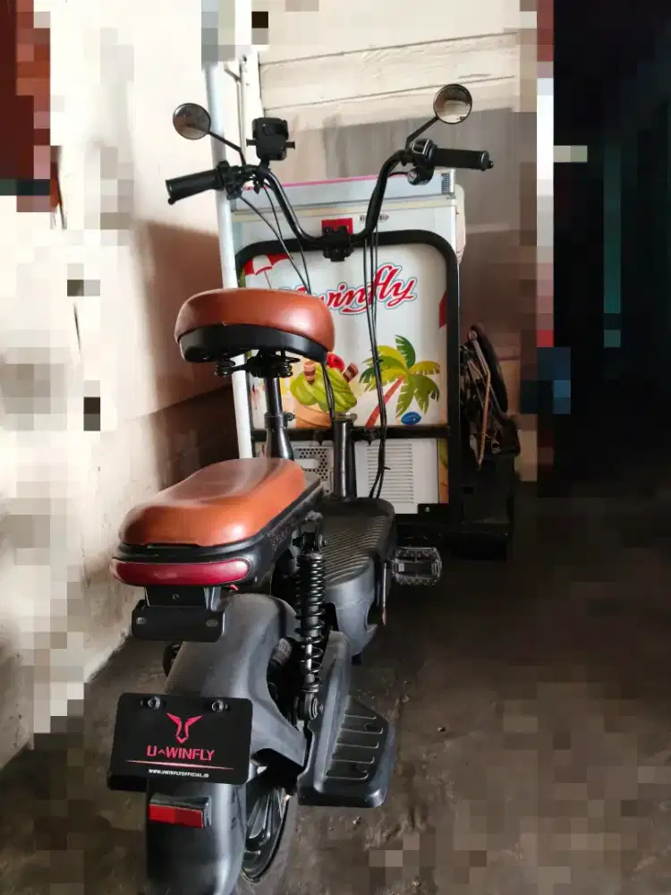 GEROBAK LISTRIK JUALAN MERK U WINFLY