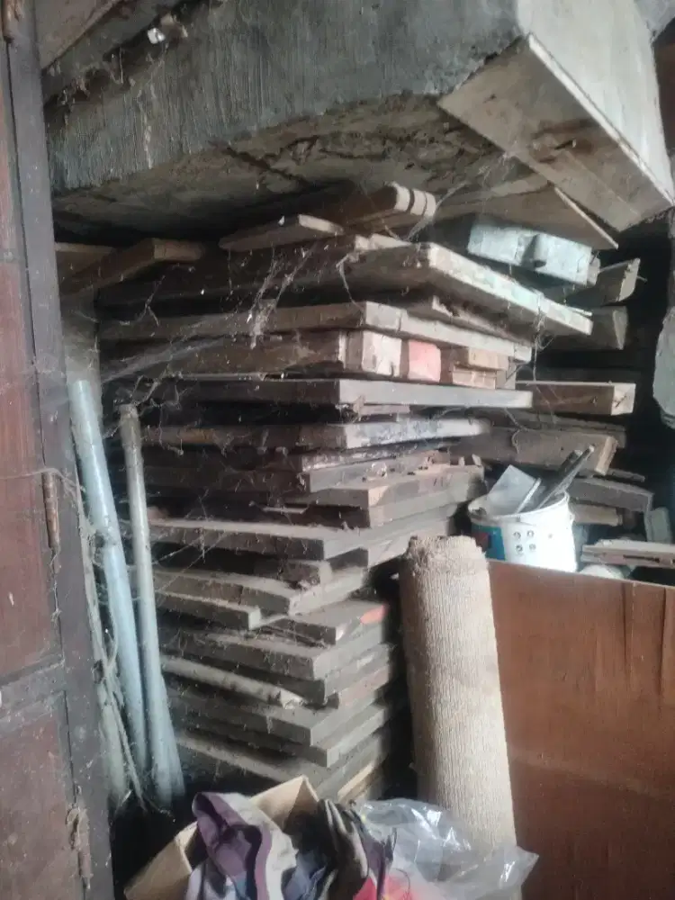 Kayu bakar gratis