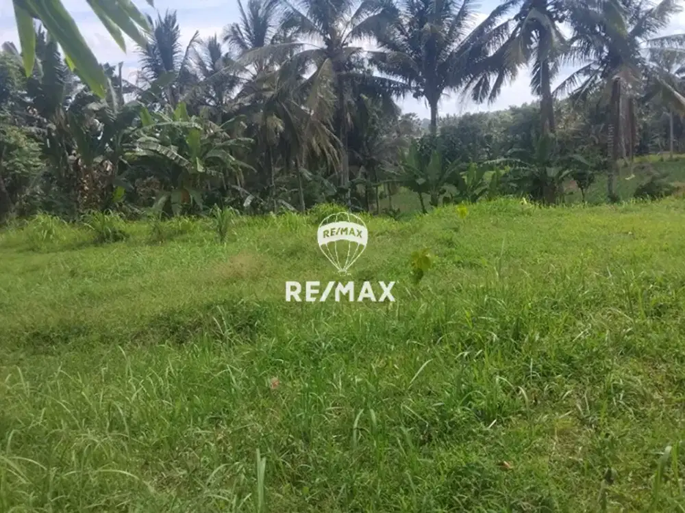 DIJUAL TANAH KAVLINGAN GLAGAH, BANYUWANGI