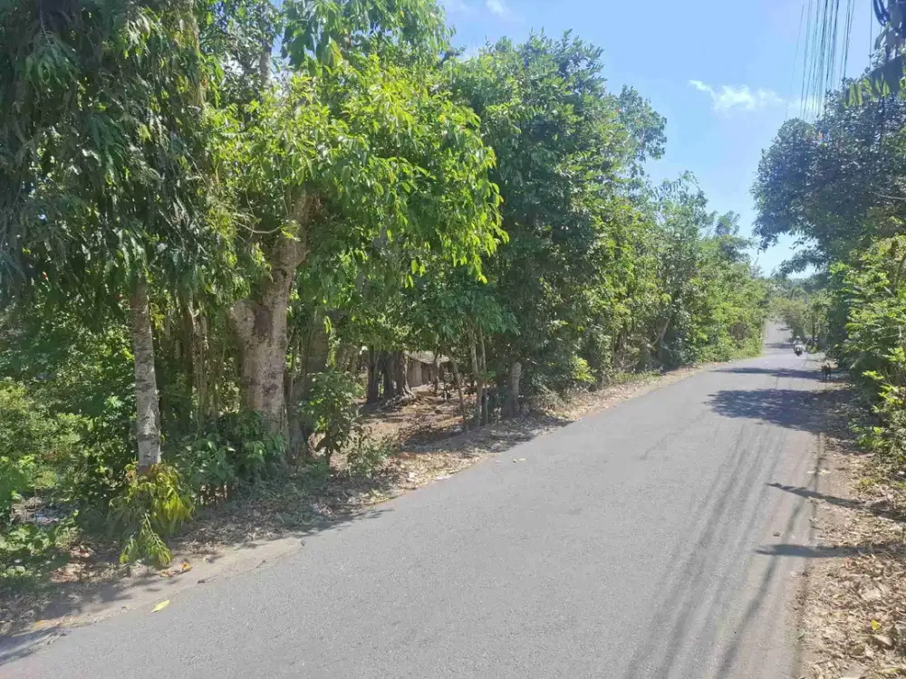 Dijual Tanah 200m2 Jl Utama Ungasan Bali