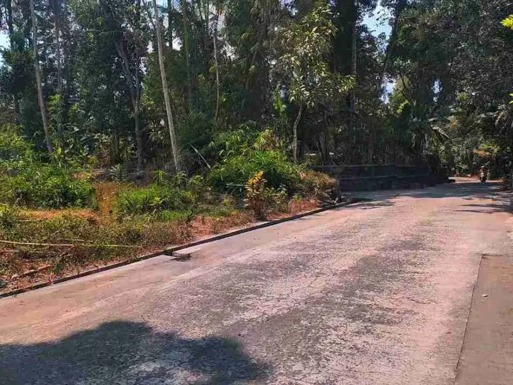 DIJUAL TANAH TEGALAN ISTIMEWA  KEPUTRAN, KEMALANG, KLATEN