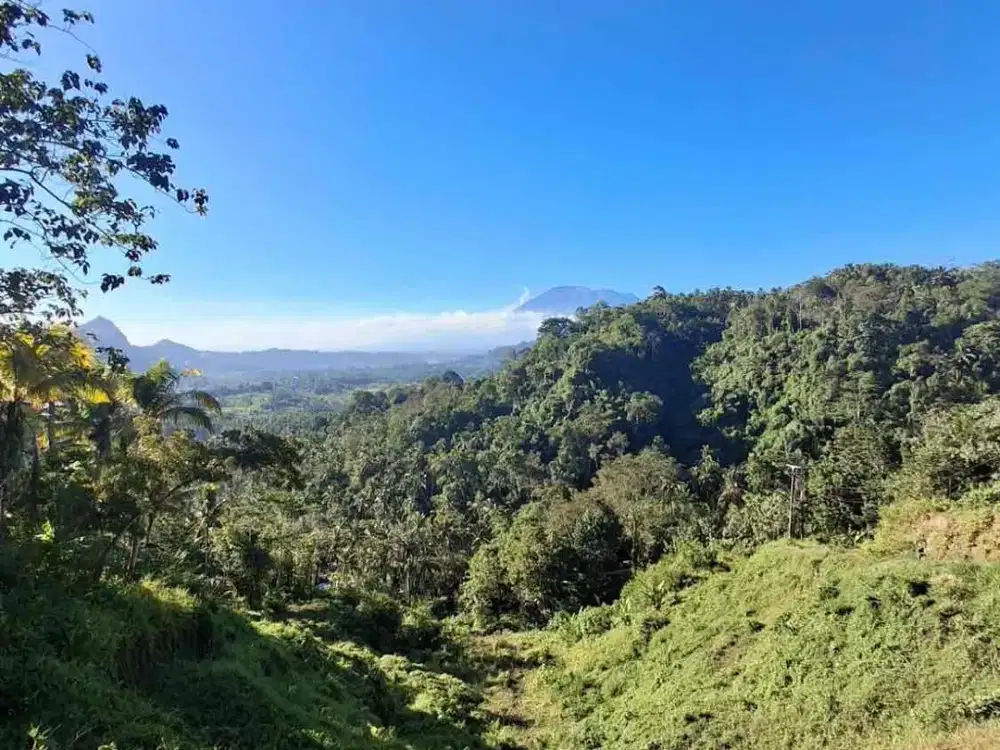 DIJUAL TANAH INVESTASI PREMIUM – SIDEMEN, BALI