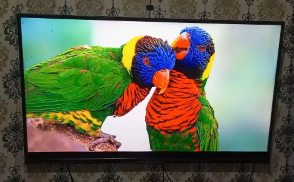 Tv 50 inch panasonic