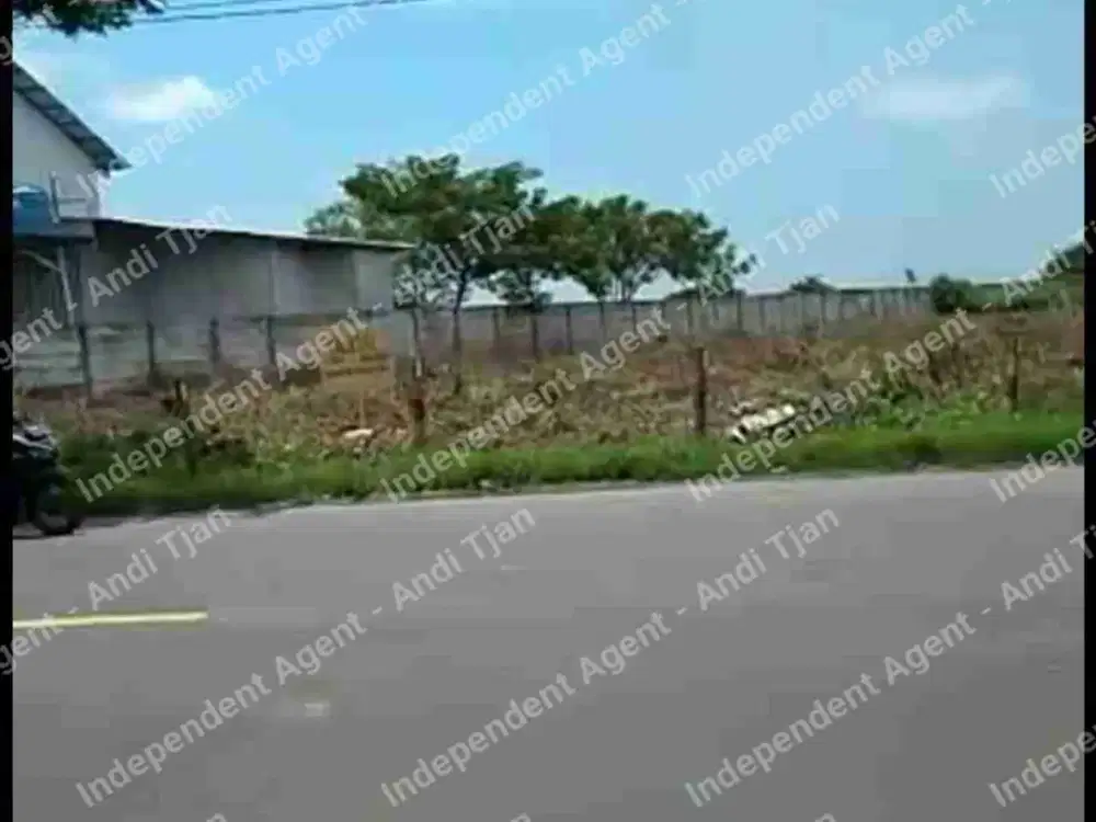 Tanah di jual cocok untuk pabrik atau pergudangan di daerah Widang Tuban Jawa Timur