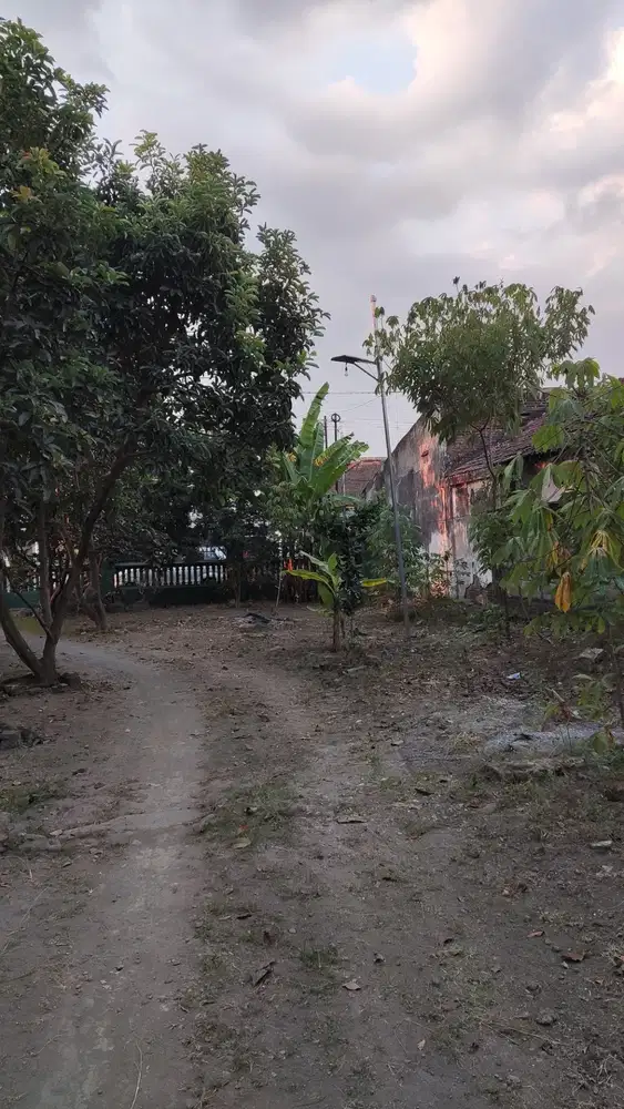DISEWAKAN TANAH PINGGIR JALAN 648 m² – PARE, KEDIRI