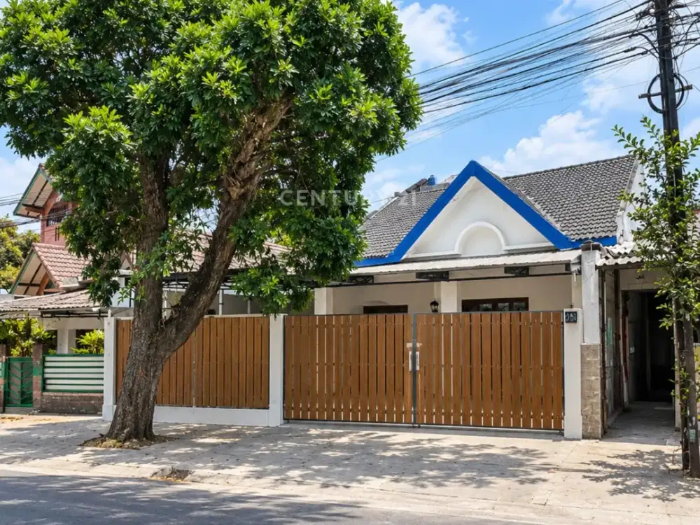 Rumah 1 Lantai Halaman Luas Dekat UGM Cocok Untuk Homestay