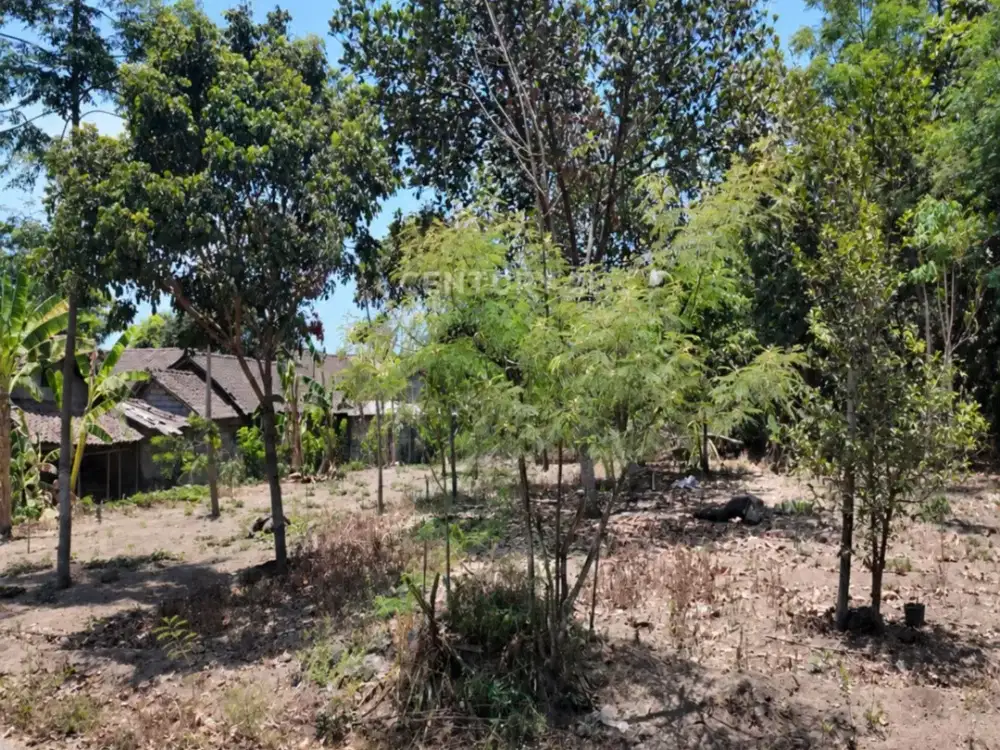 Tanah Hanya 1 Km Dari Exit Tol Purwomartani Ideal Untuk Hunian