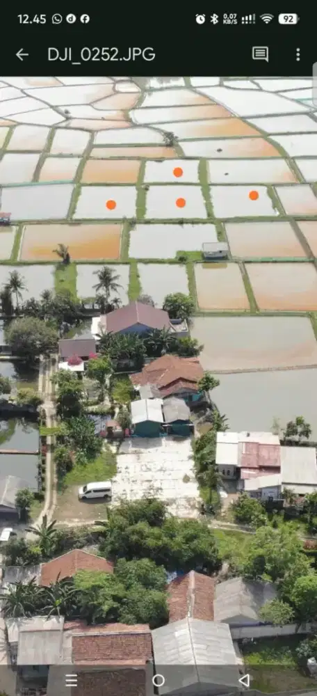 Dijual Cepat Empang Kolam Ikan, Ciseeng Bogor
