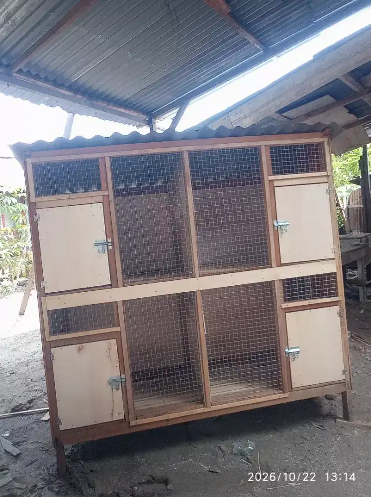 Kandang 4 pintu