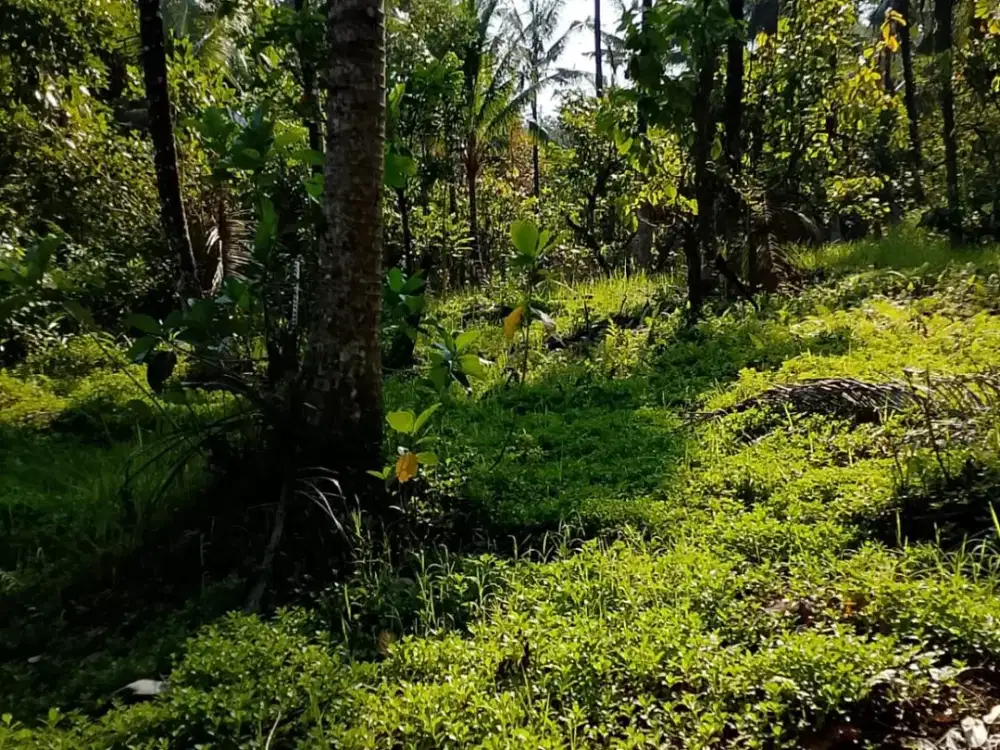 Dijual Lahan Kontur Tanah Datar Bagus untuk Villa/Rumah Tinggal