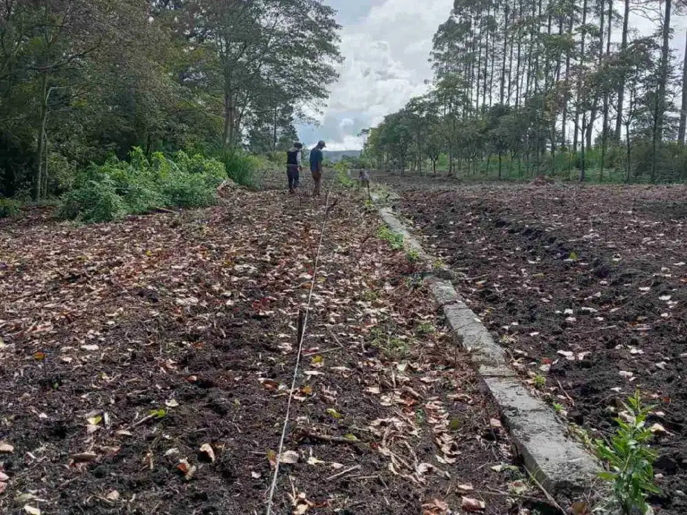 Dijual Tanah strategis di jln lintas bandara silangit