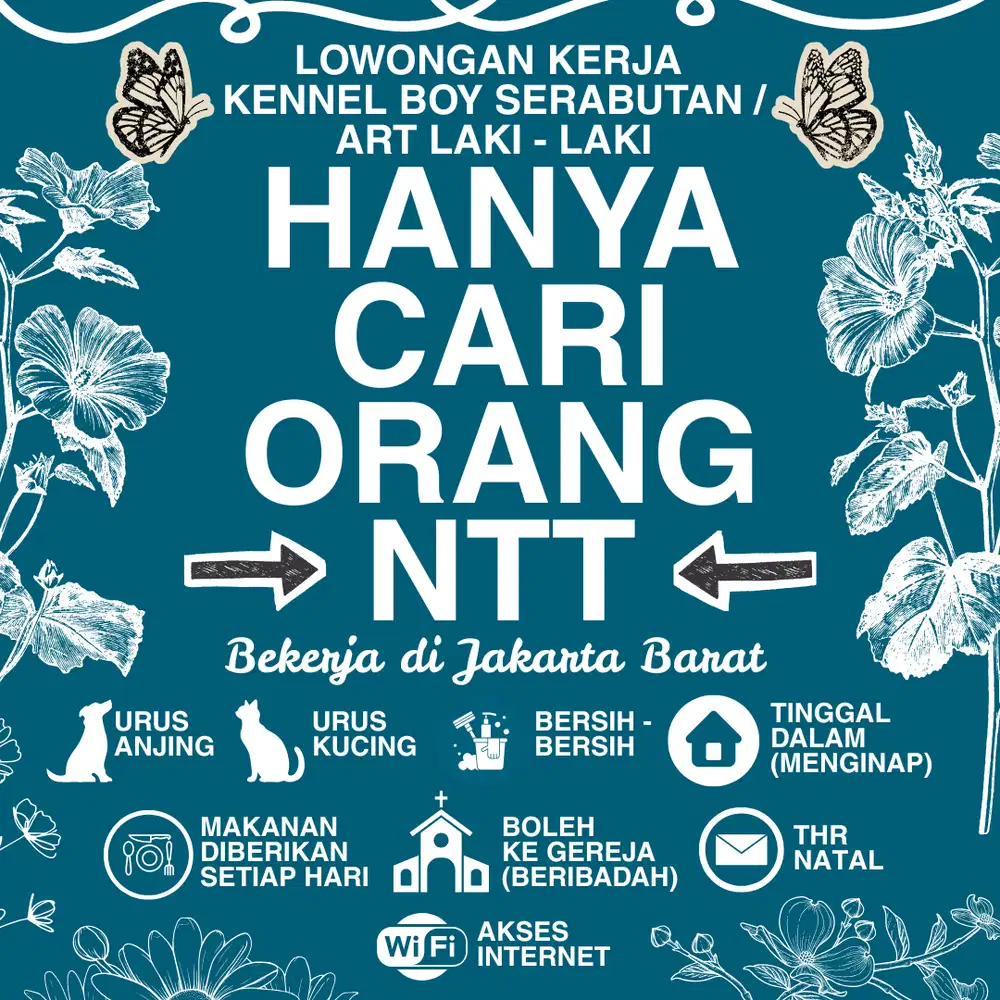 KENNEL BOY ASAL NTT ART COWOK ASAL NTT ART PRIA ASAL NTT