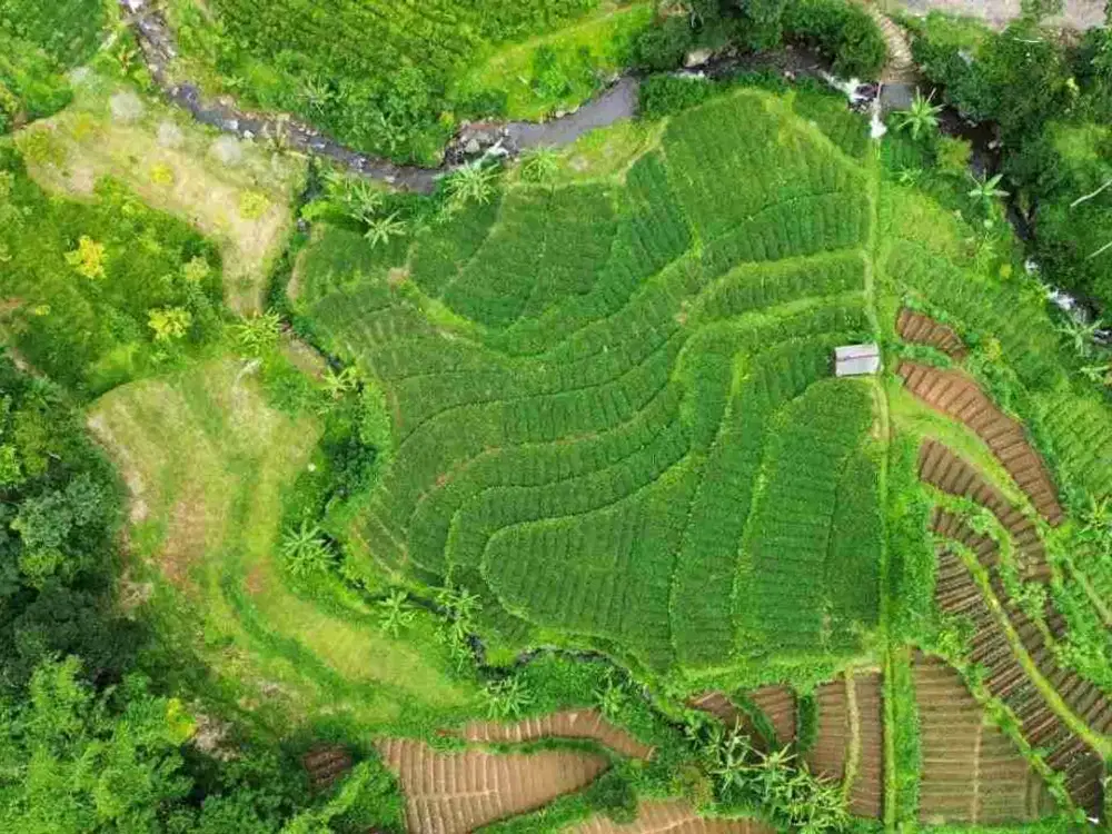 Tanah Estetic Dekat Wisata Kemuning View Gunung Lawu Dan Area Tubing Fun