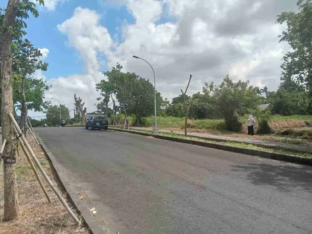 Tanah Kebo Iwa Pangkung Tabanan Bali