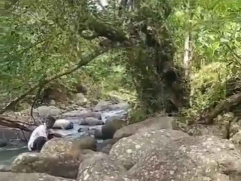 Dijual Tanah Lokasi Premium dengan View Sawah dan Pegunungan