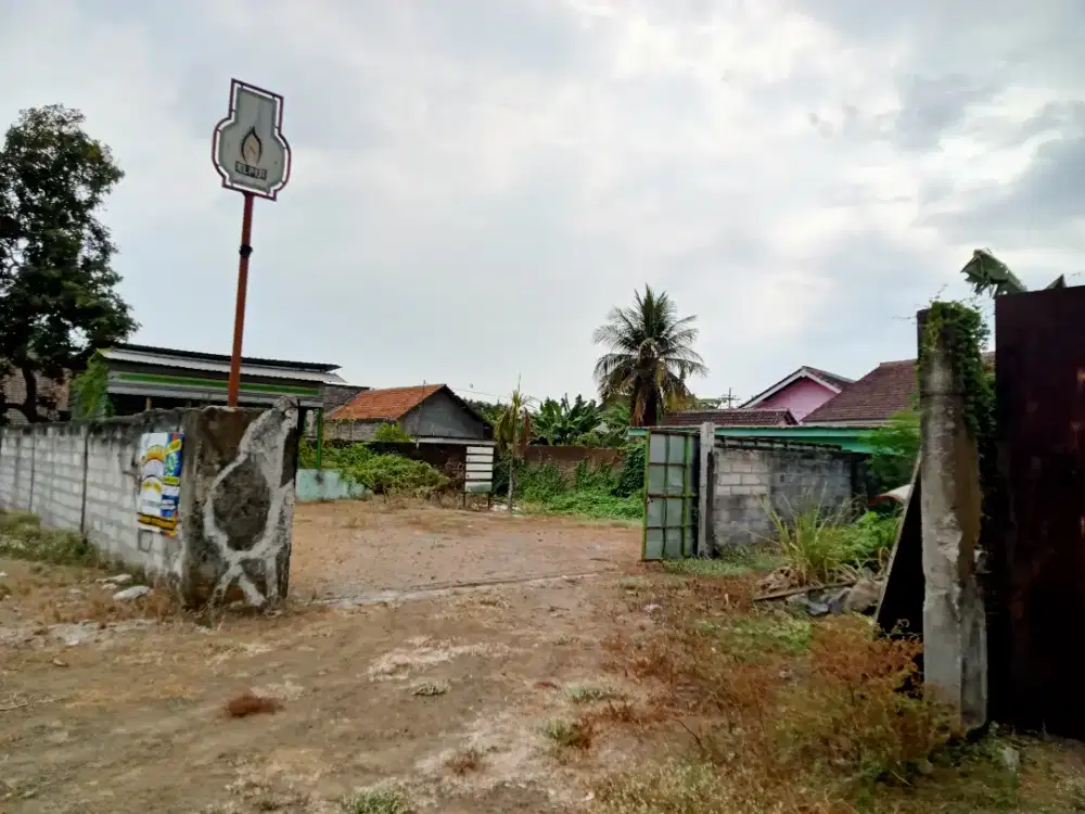 Disewakan Tanah Siap Bangun - 468m2 SHM Kaliwining Rambipuji Jember