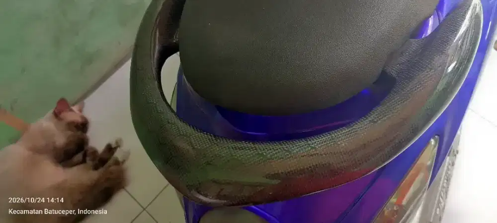 behel+boxfilter+cover cvtkarbon kevlar fino fi115