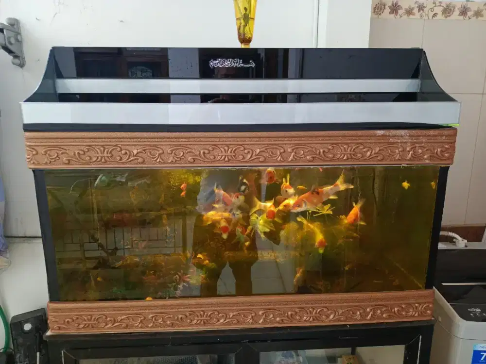 Dijual Aquarium dan lemari nya