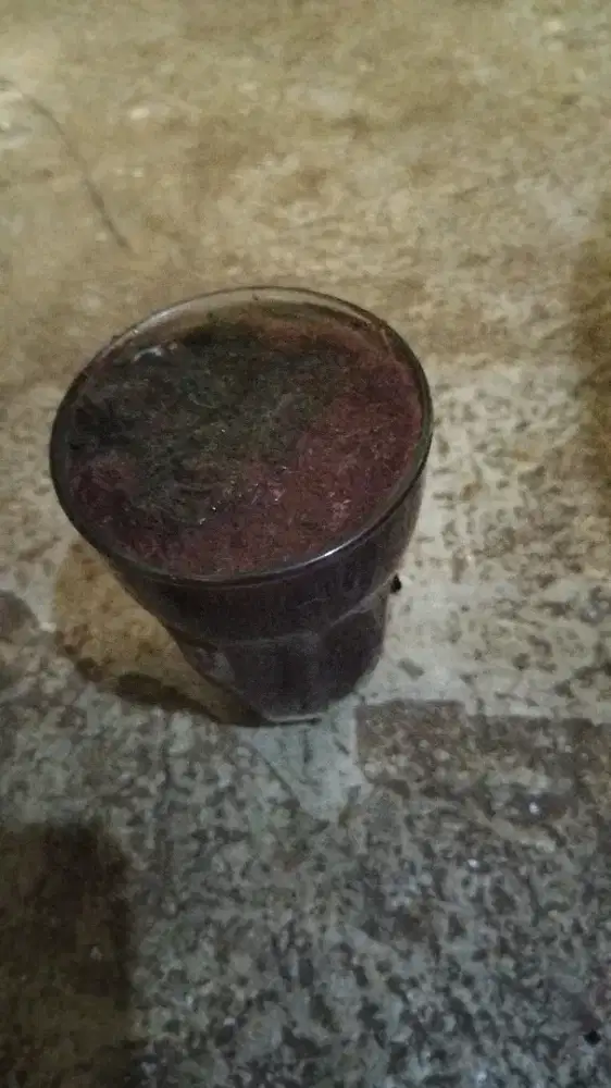Jual cacing sutra
