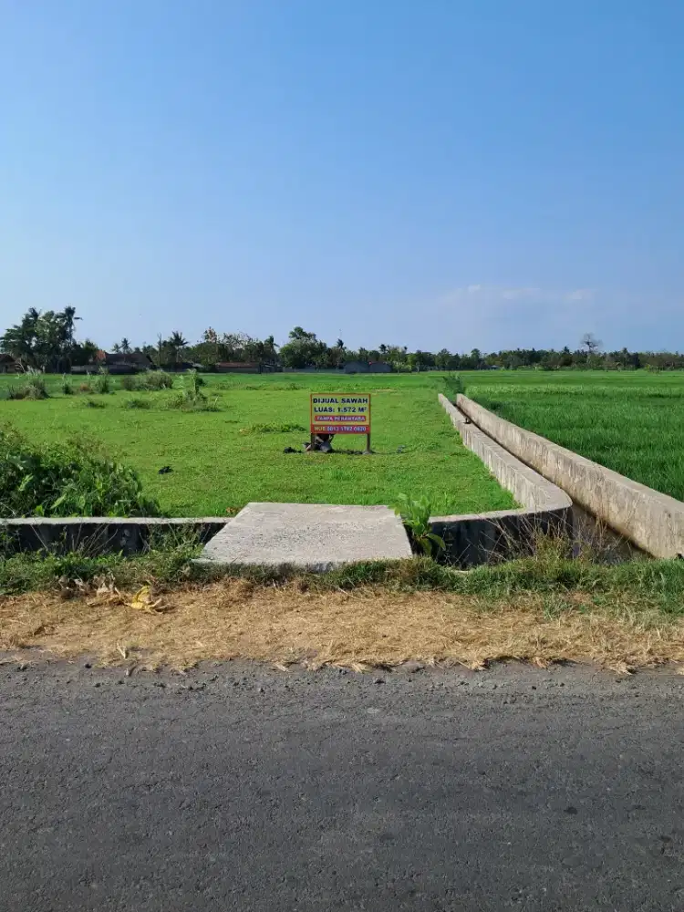 Dijual Sawah Tanpa Perantara