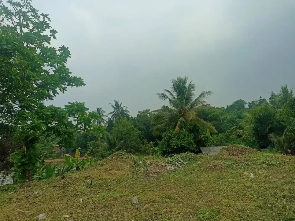 Peluang Investasi Tanah di Serang – Luas 665 M², Legalitas SHM