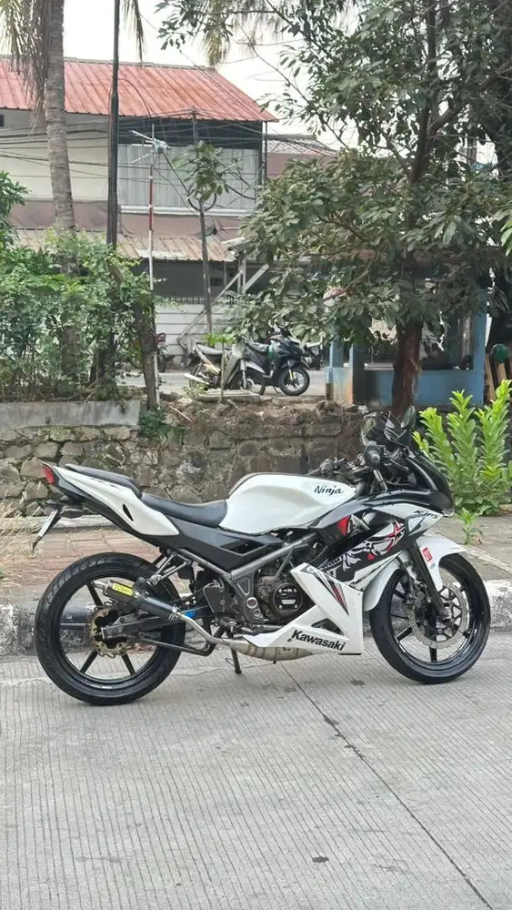 Kawasaki Ninja RR New 2013