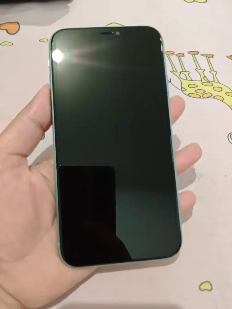Iphone 11 256gb Inter