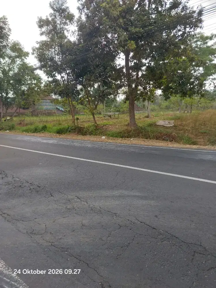 Di jual tanah luas 5300m tepi jalan raya provinsi salatiga kopeng