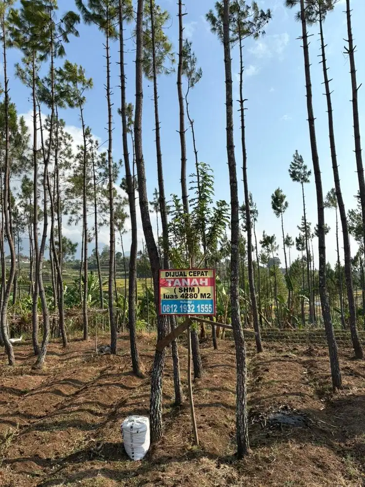 Dijual cepat tanah!
