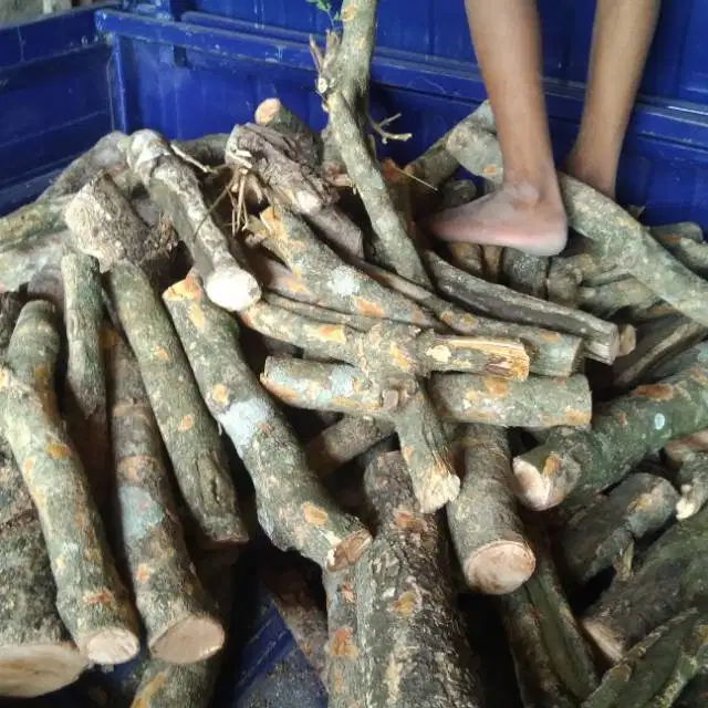 kayu sambi super