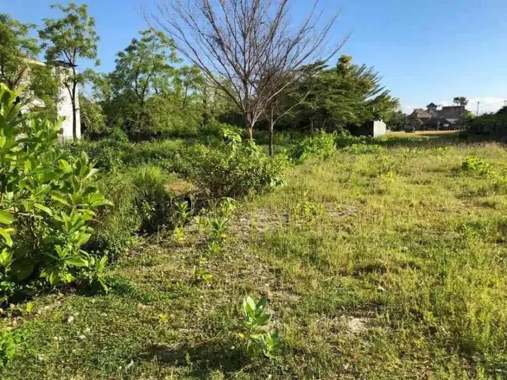 FOR SALE - SUPER PREMIUM LAND - JALAN UTAMA CENDRAWASIH PETITENGET SEMINYAK