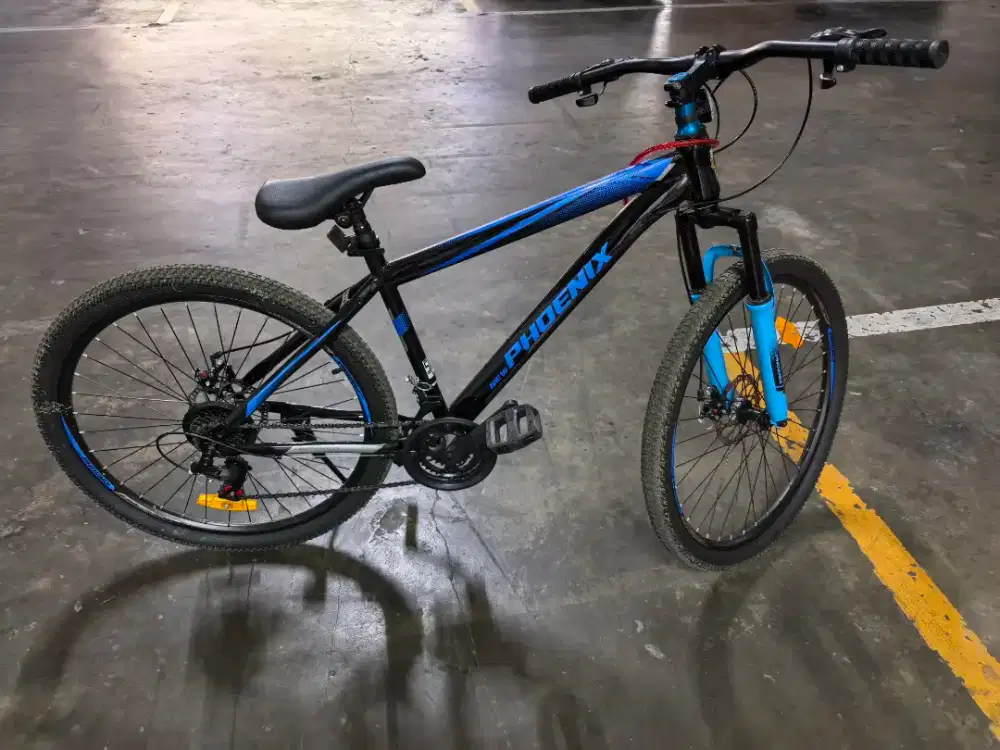 Sepeda Gunung Mountain Bike Phoenix Shanghai