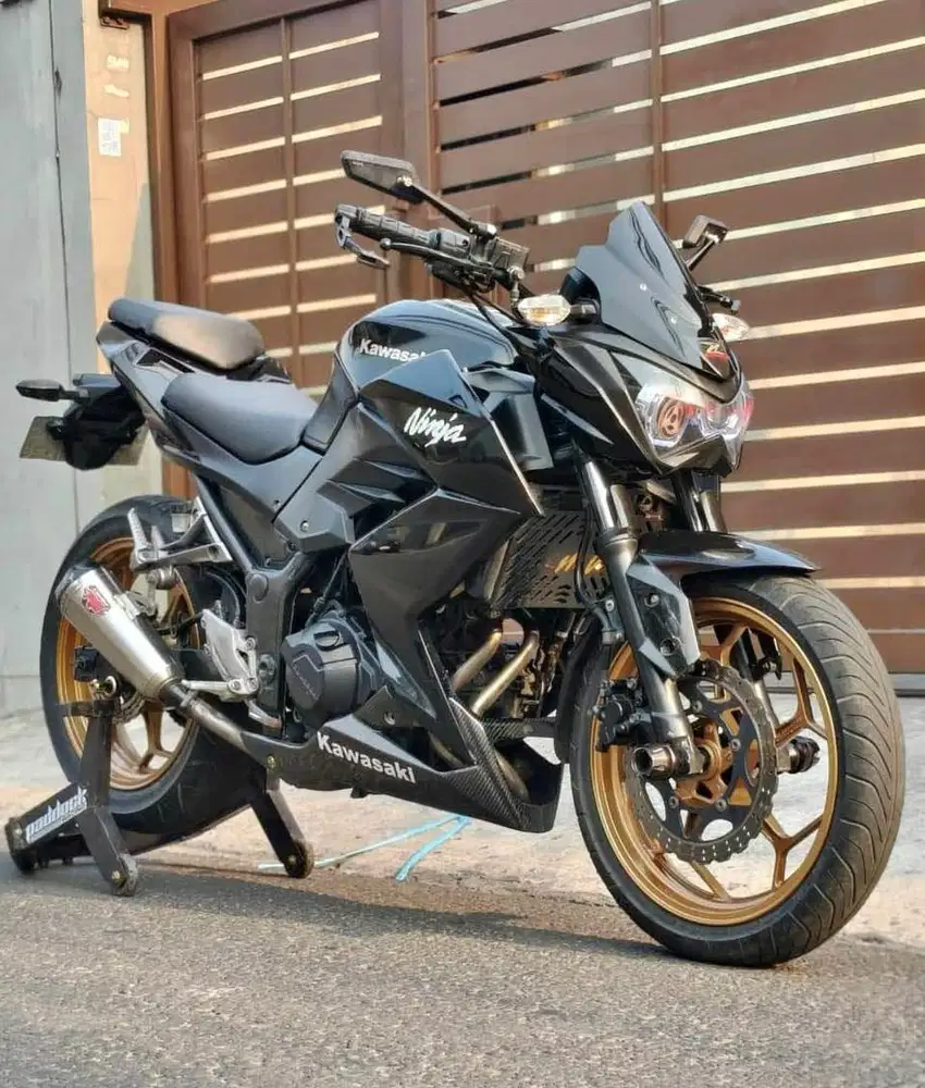Kawasaki Z250 FI